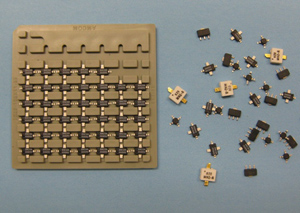 AMCOM (2).jpg